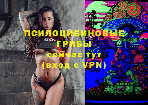 бошки Алзамай