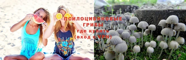 бошки Алзамай