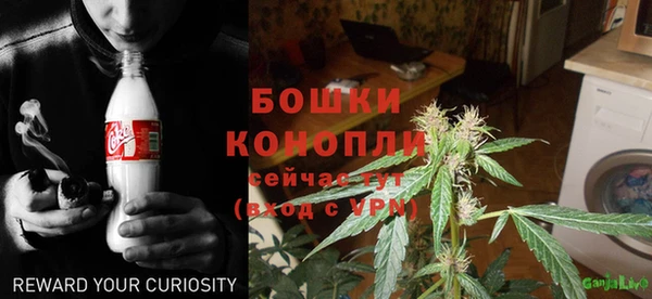 бошки Алзамай