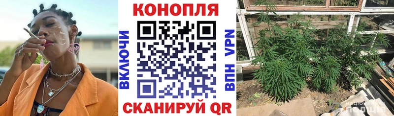 Купить где  Сковородино  Конопля AK-47 
